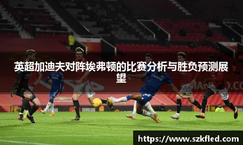 英超加迪夫对阵埃弗顿的比赛分析与胜负预测展望